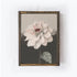 Vintage Dahlia A13-2