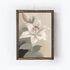 Vintage Liliac 1  A10-2