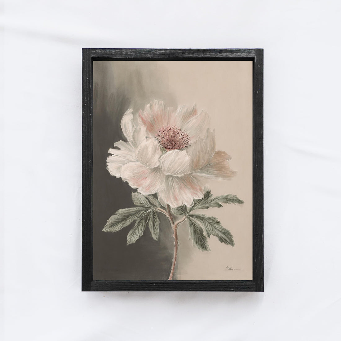 Vintage Peony Painting A14-1