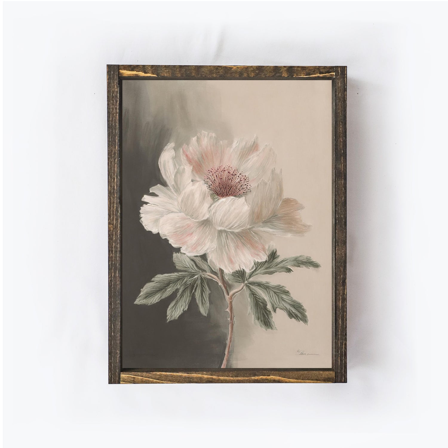 Vintage Peony Painting A14-2