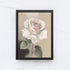 Vintage Rose A11-2
