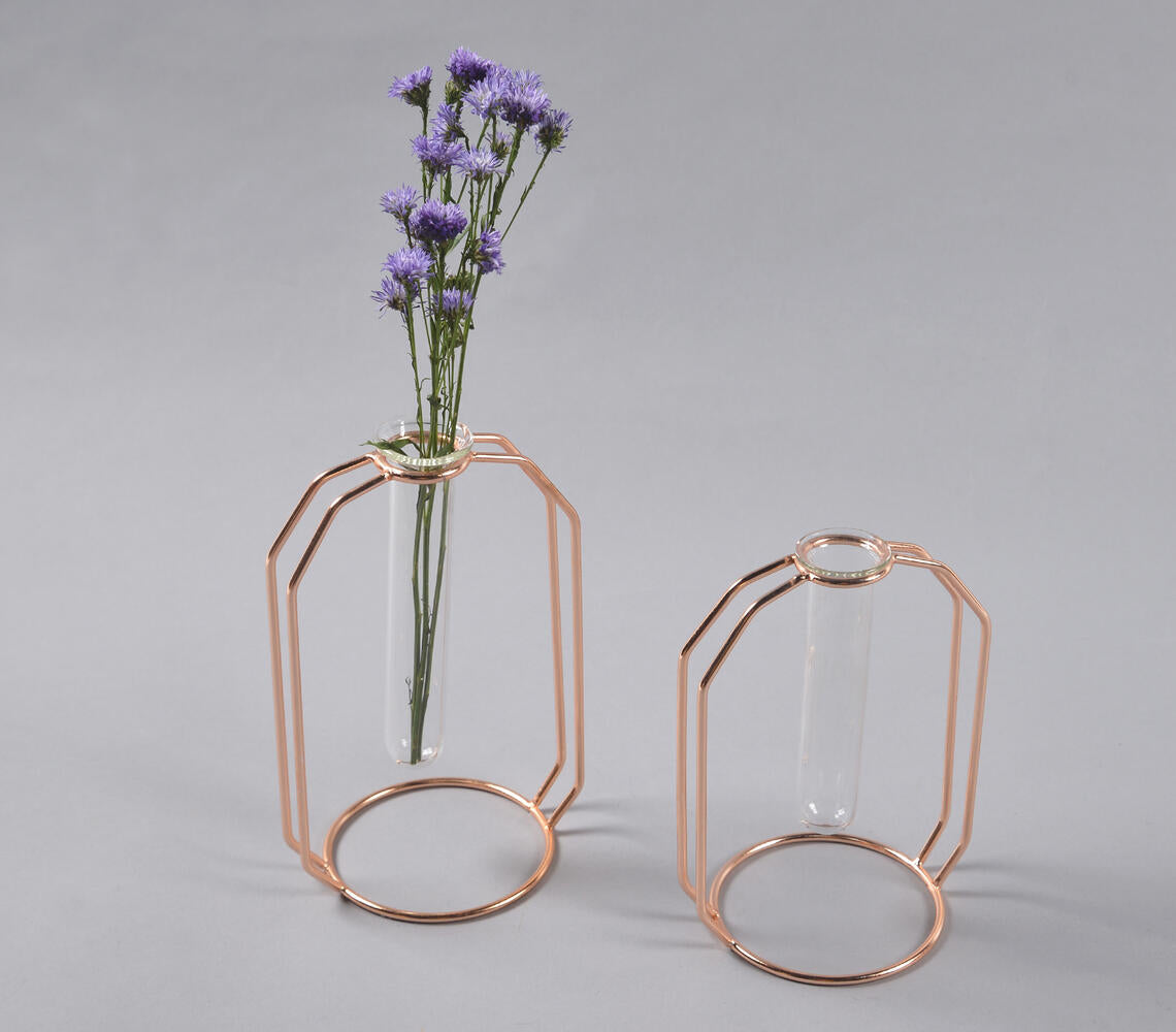 Rose-Gold Metal &amp; Glass Test Tube Planter Vases (set of 2)-0