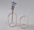 Rose-Gold Metal & Glass Test Tube Planter Vases (set of 2)-0