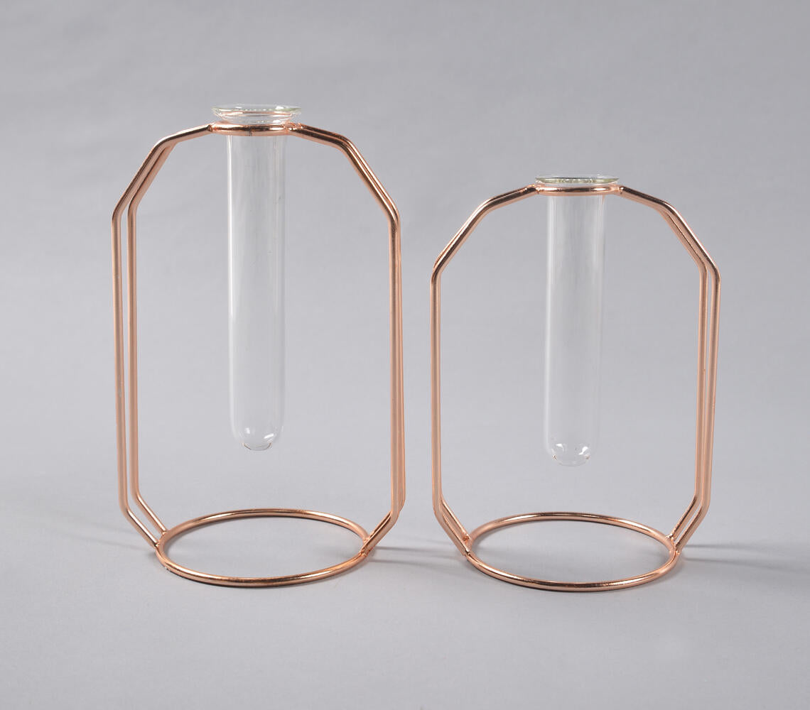 Rose-Gold Metal &amp; Glass Test Tube Planter Vases (set of 2)-1