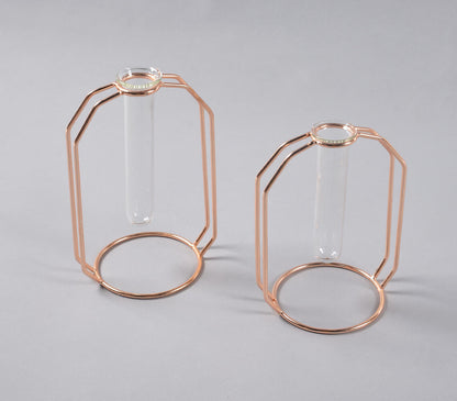 Rose-Gold Metal &amp; Glass Test Tube Planter Vases (set of 2)-2