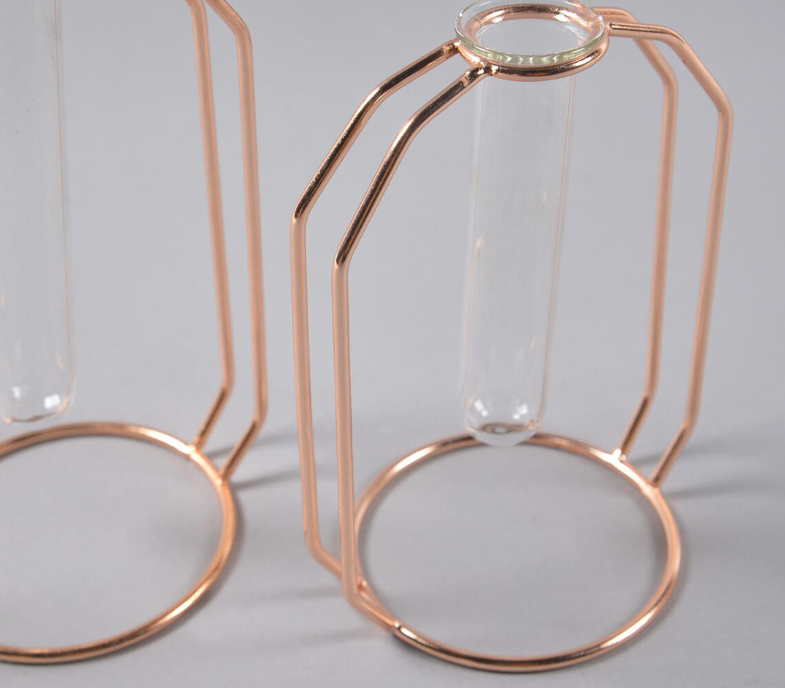 Rose-Gold Metal &amp; Glass Test Tube Planter Vases (set of 2)-3