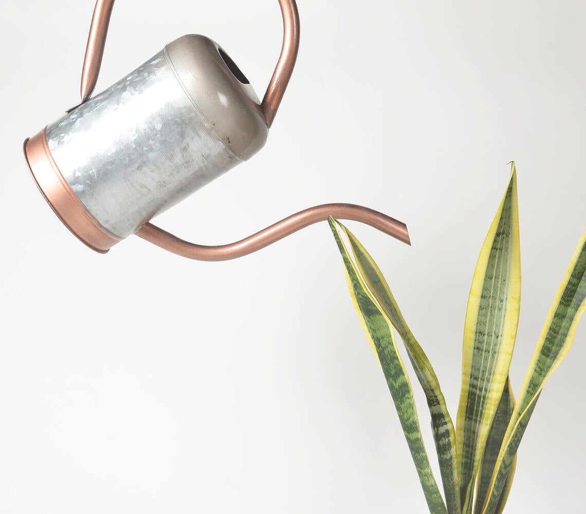 Handmade Glossy Metal Watering can-0