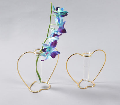 Heart-Shaped Metal &amp; Glass Test Tube Planter Vases (set of 2)-0