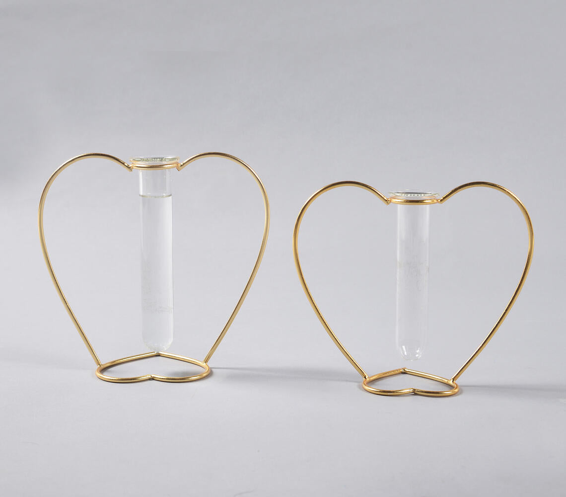 Heart-Shaped Metal &amp; Glass Test Tube Planter Vases (set of 2)-1