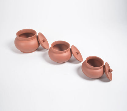 Terracotta Pottery Classic Hotpots with Lids (Set of 3)-2