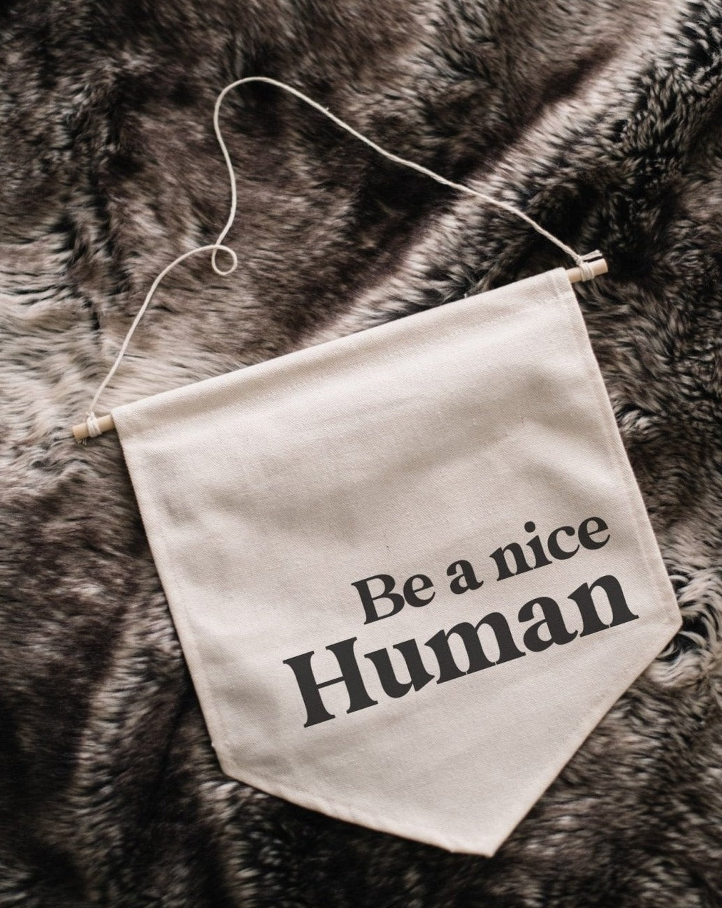 Be a Nice Human Canvas Banner-2