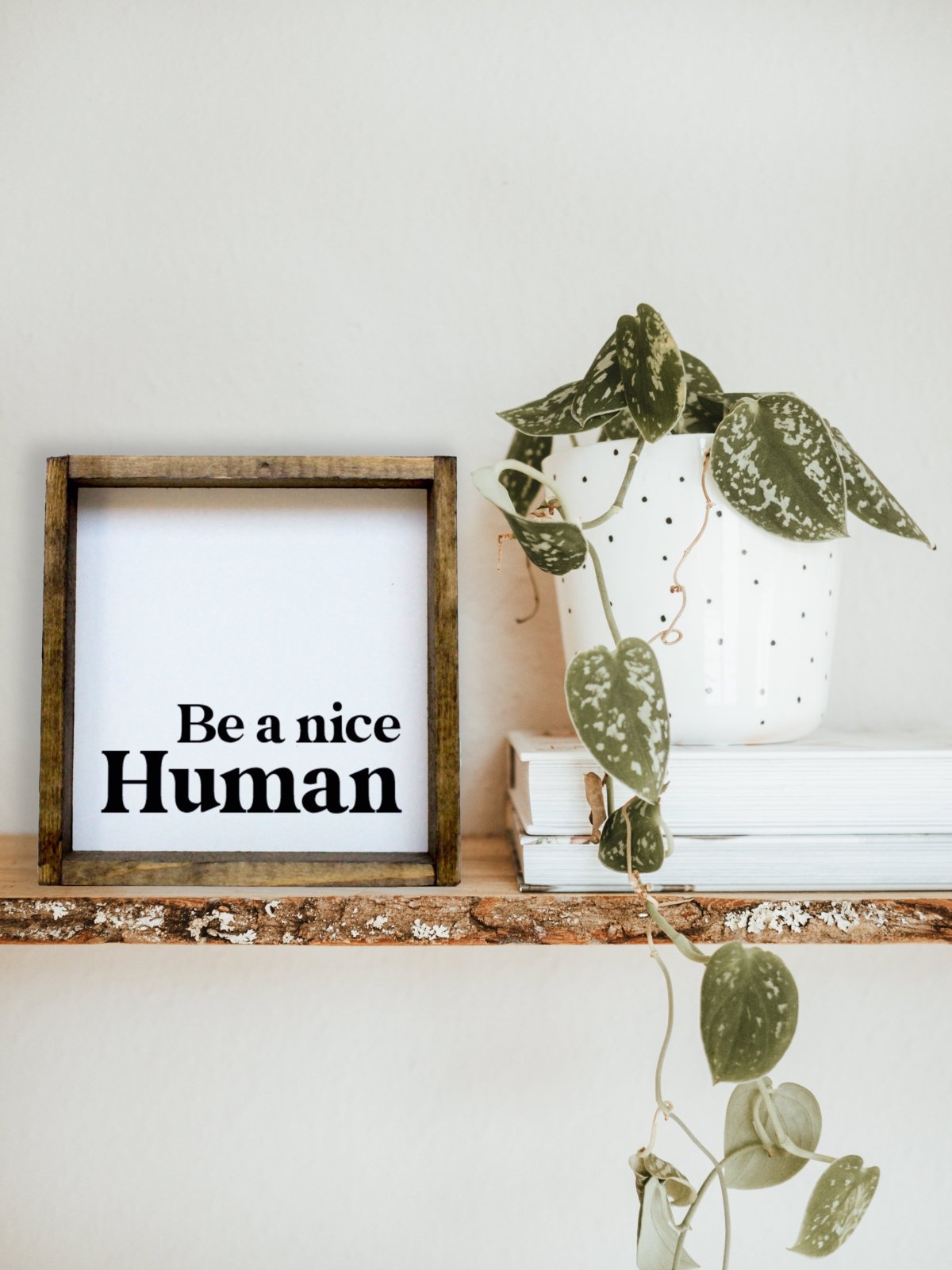 Be a Nice Human Mini Wood Sign-8