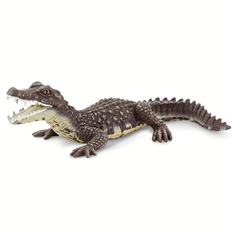 Caiman Toy-0