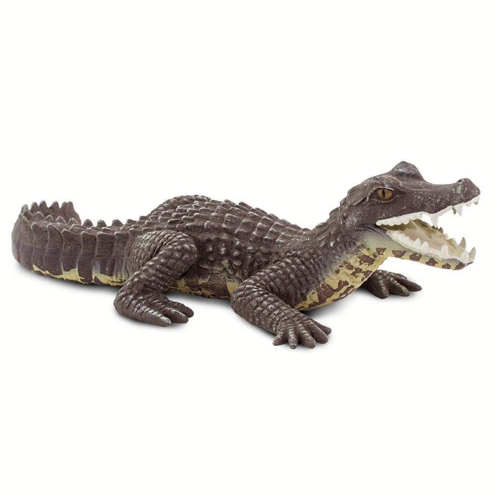 Caiman Toy-1