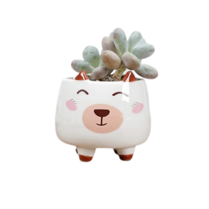 Ceramic Round Puppy Dog Succulent Plant/Pot - Style 8-0