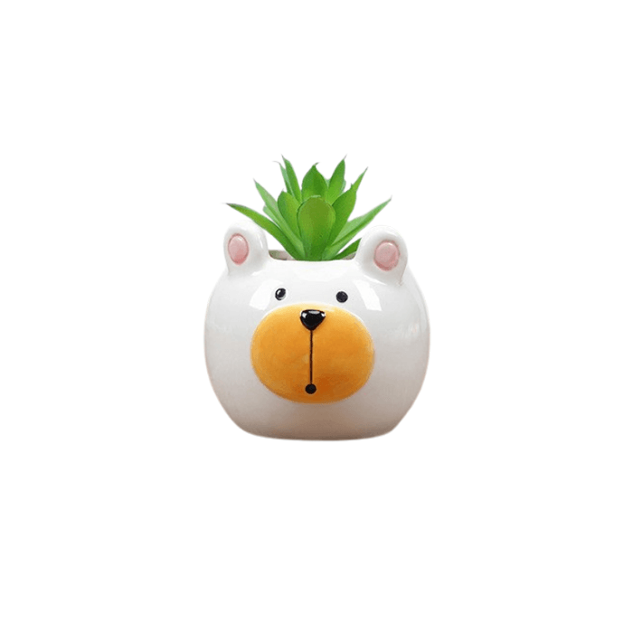 Cute Bear Succulent Planter-0