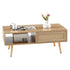 Rattan Coffee Table With Sliding Doors-0