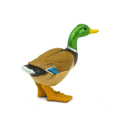 Duck-4