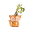 Orange Fox Succulent Pot-0