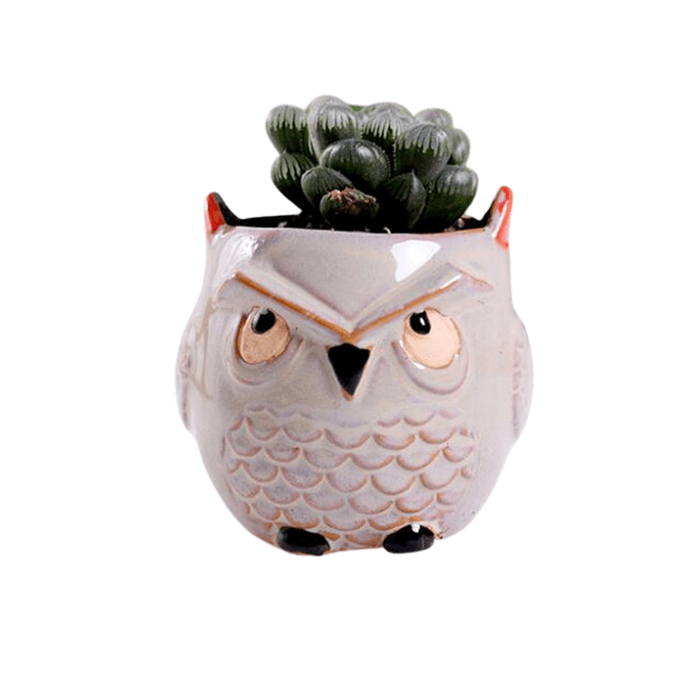 Owl Style 3 Succulent Planter Pot-0