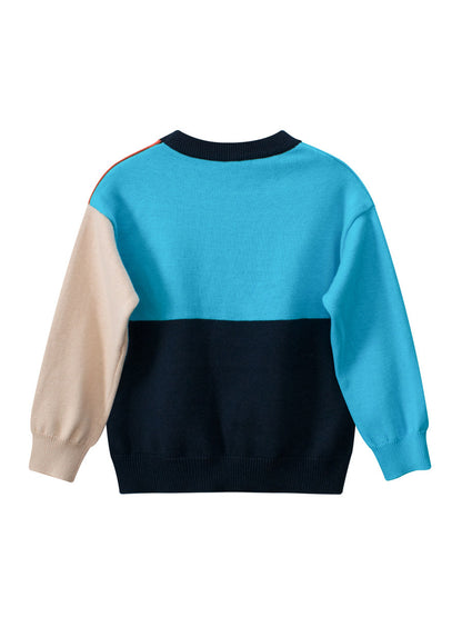 Baby Boy Color Patchwork Crew Neck Long Sleeve Knitwear Pullover-1