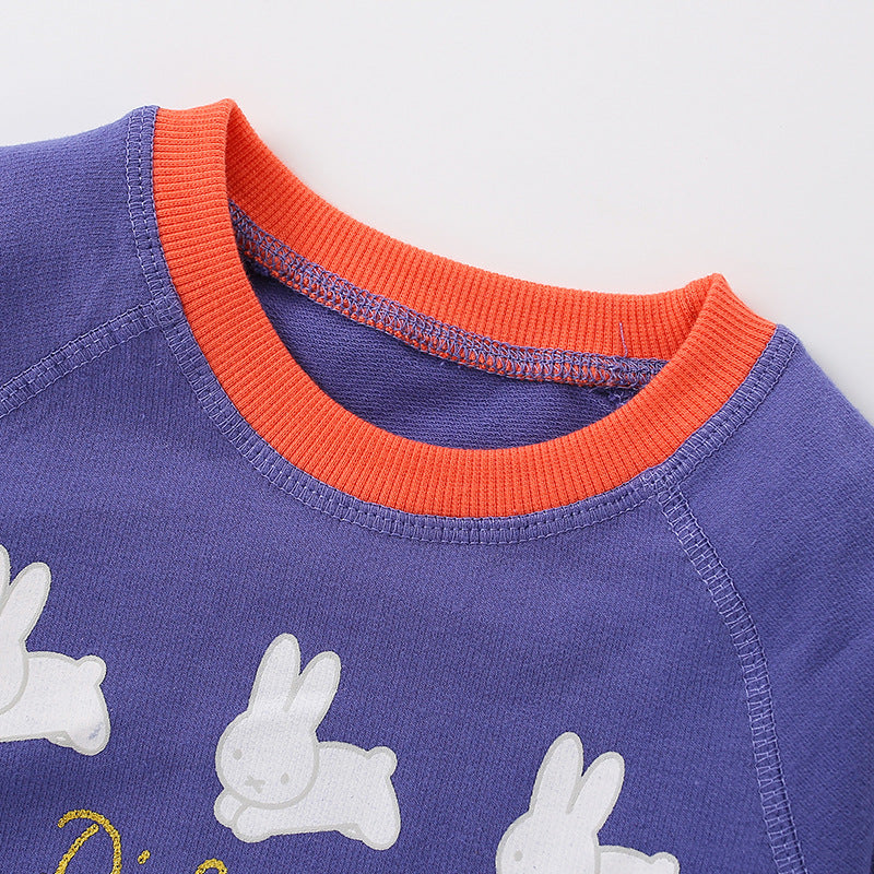 Baby Girl Rabbit Print Pattern Simple Colorblock Design Fashion Hoodie-1