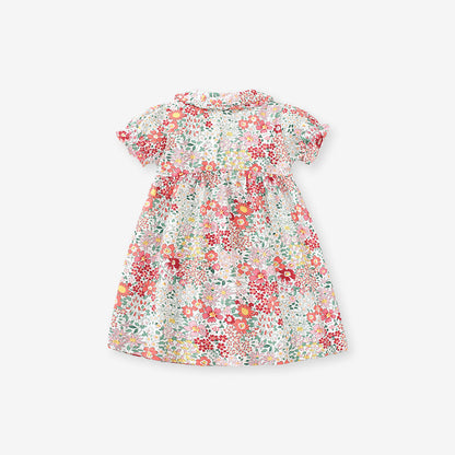 Spring And Summer Baby Girls Short Sleeves Flowers Collection Dress-1