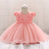 Baby Girl Floral Patched Graphic Mesh Tutu Dress Birthday Baptism Dress-1