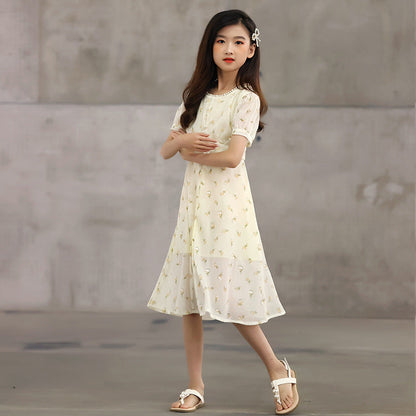 New Arrival Summer Kids Girls French Style Chiffon Fashion Short Sleeves Floral Dress-2