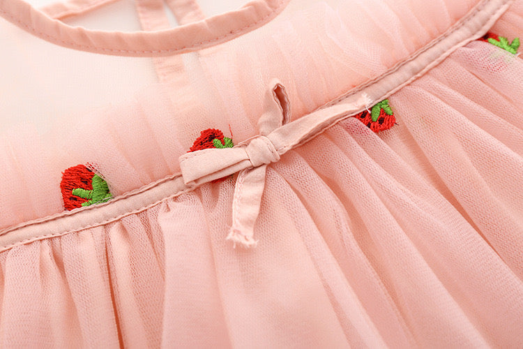 Baby Girl Strawberries Embroidered Mesh Overlay Design Bow Tie Patched Hundred Dress-2