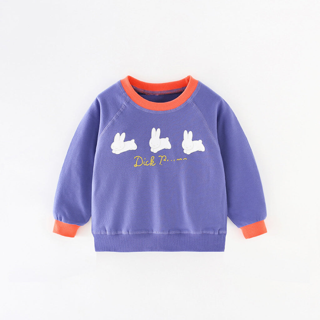 Baby Girl Rabbit Print Pattern Simple Colorblock Design Fashion Hoodie-4