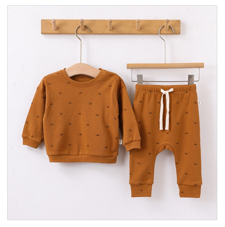 Baby Boy And Girl Print Pattern Cotton Hoodie Combo Trousers Sets-8