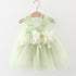 Baby Girl Flower Patched Design Mesh Princess Formal Dress-1