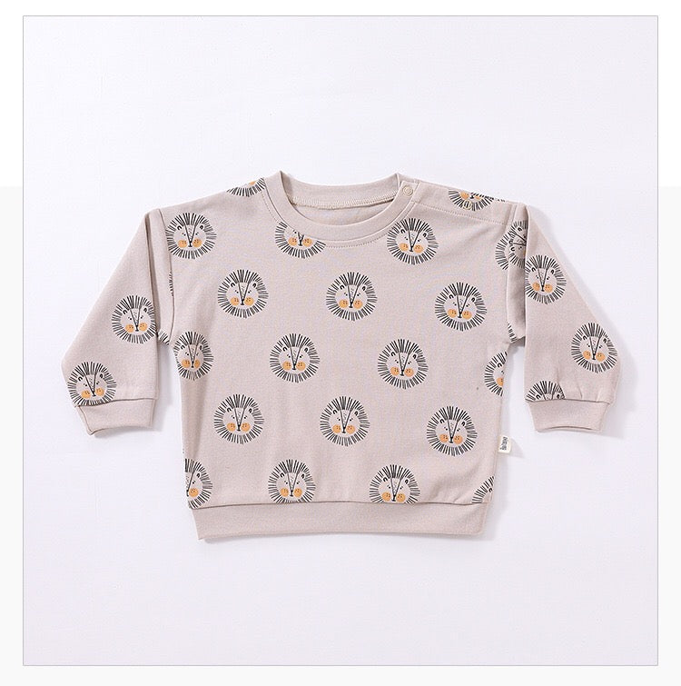 Baby Boy And Girl Print Pattern Cotton Hoodie Combo Trousers Sets-9