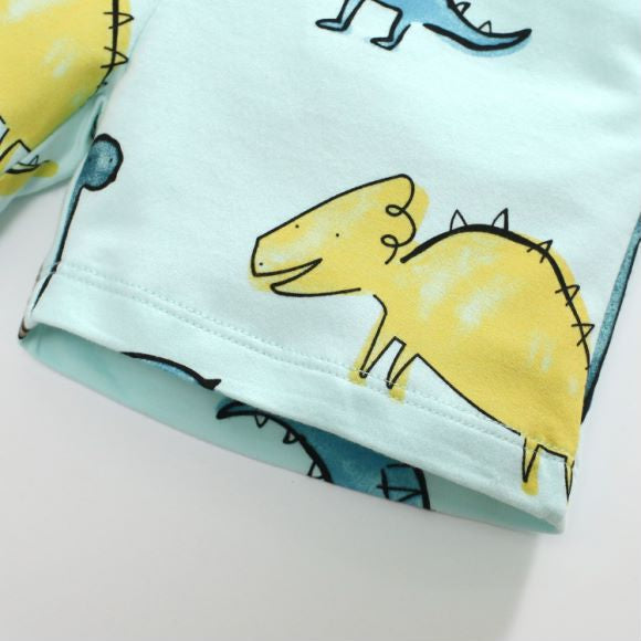 Baby Boy All Over Dinosaur Pattern Hoodie And Shorts Sets-9