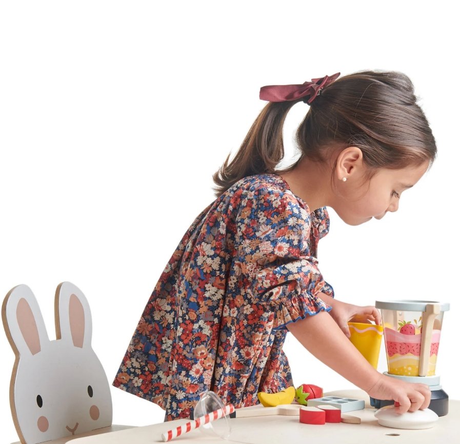 Tender Leaf Toys Fruity Blender-1