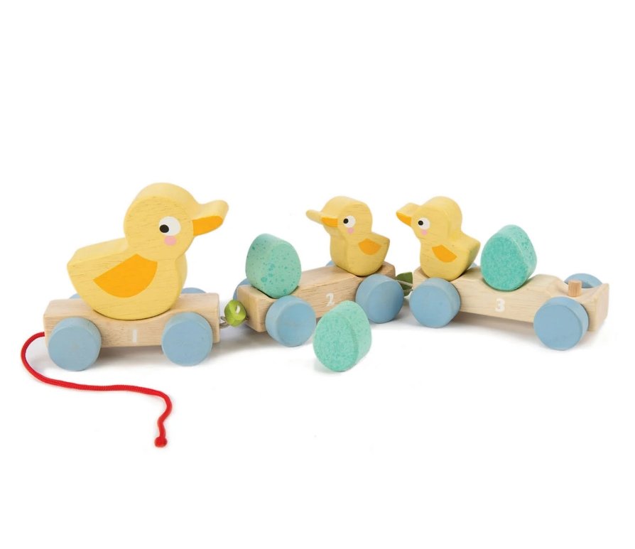 Tender Leaf Toys Pull Along Ducks-0