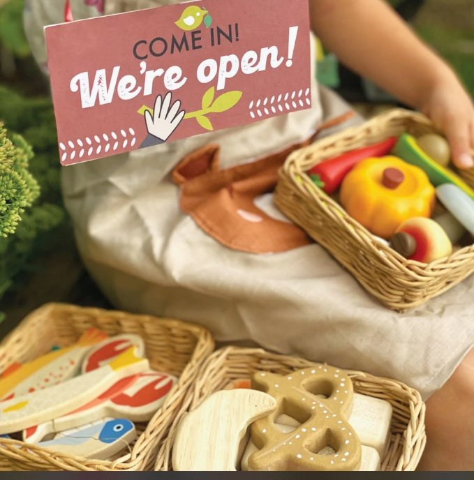 Tender Leaf Toys Seafood Basket-1