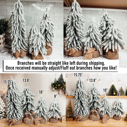 Snow Christmas Trees 4pk-2