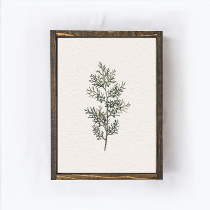 Vintage Coniferous Drawing A72-0